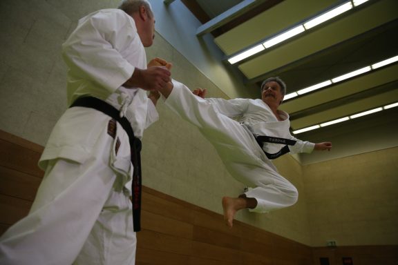 Yoko Tobi Geri